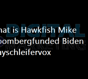 hawkfish mike bloombergfunded biden mayschleifervox | hawkfish biden mayschleifervox
