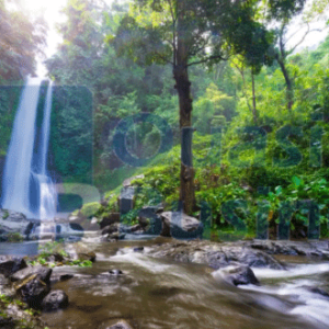 Wilderness Scout raises 0M, procures Downstream Effect on assist outsiders with selling on commercial centers like Amazon